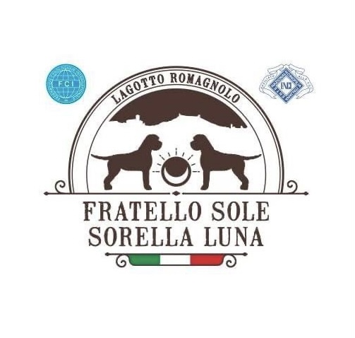 //www.gruppocinofiloperugino.org/wp-content/uploads/2023/06/fratello-sole-assisi.jpeg