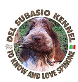//www.gruppocinofiloperugino.org/wp-content/uploads/2023/08/Logozio-Pagliarini.png