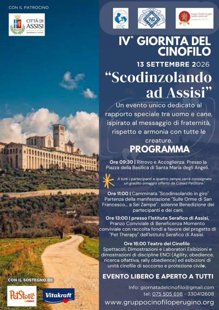 programma della gioranta